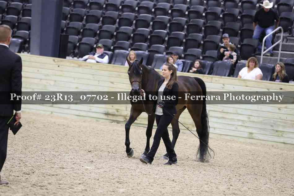 Proof Number 23R13_07702