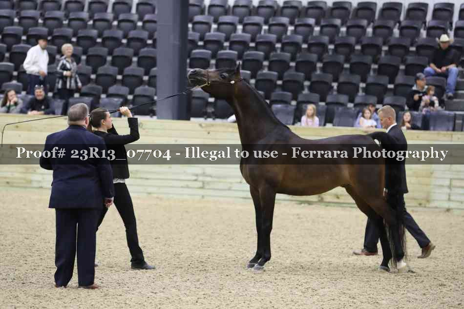 Proof Number 23R13_07704