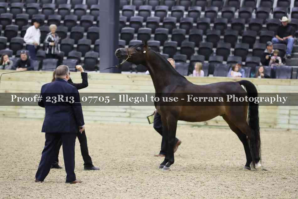 Proof Number 23R13_07705