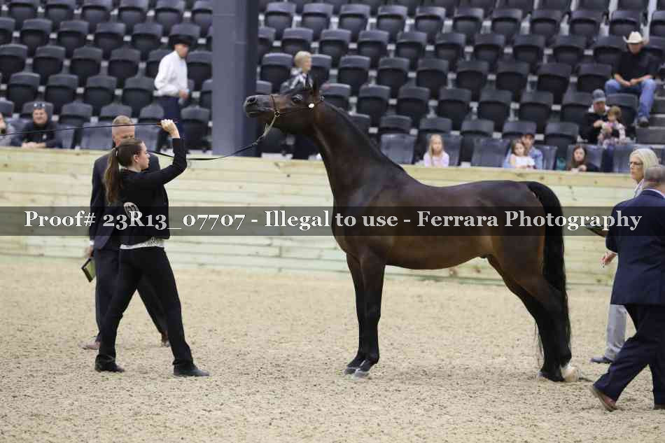 Proof Number 23R13_07707