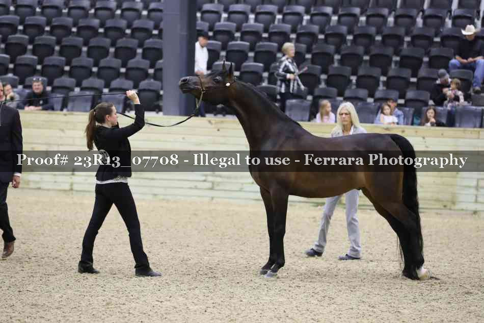 Proof Number 23R13_07708