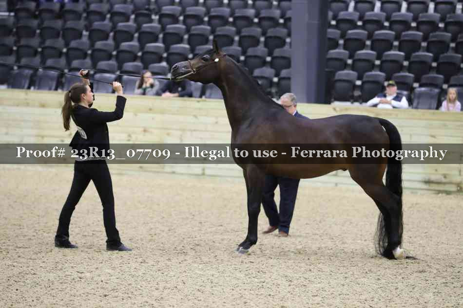 Proof Number 23R13_07709