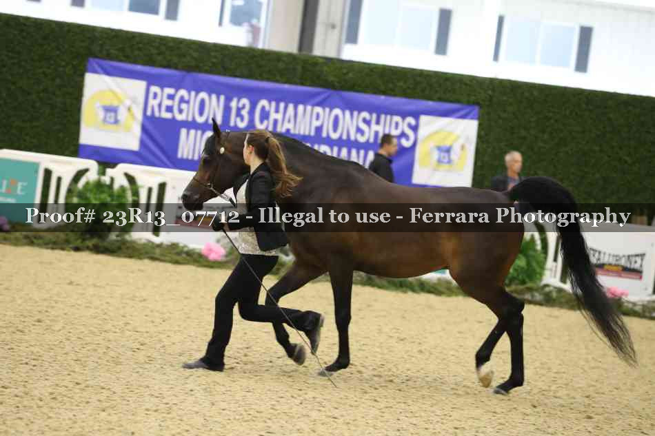 Proof Number 23R13_07712