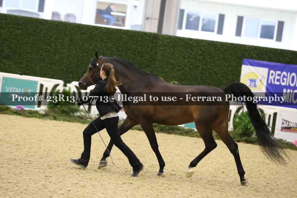Proof Number 23R13_07713