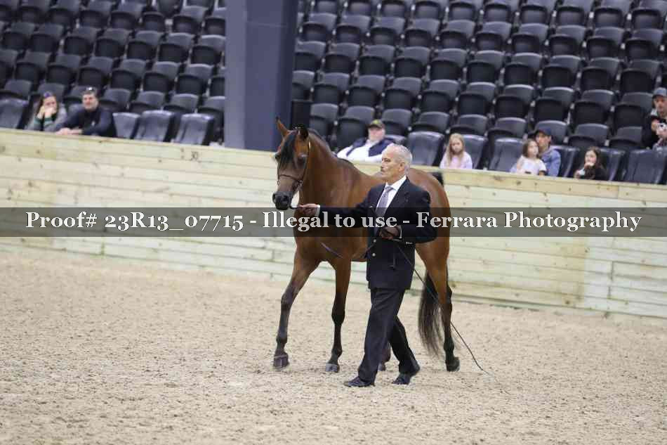 Proof Number 23R13_07715