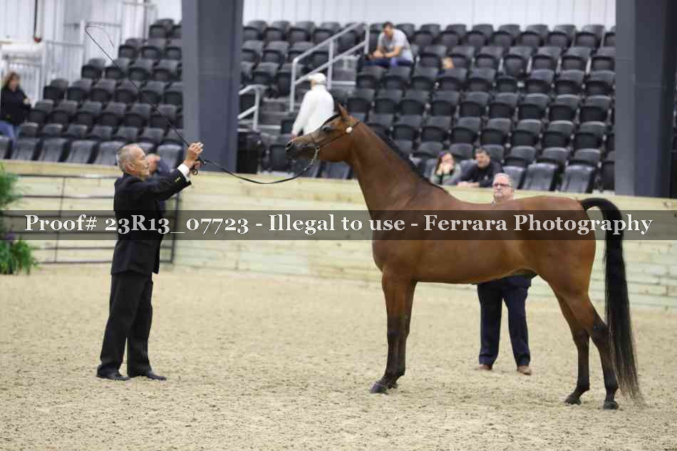 Proof Number 23R13_07723