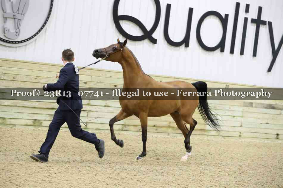Proof Number 23R13_07741