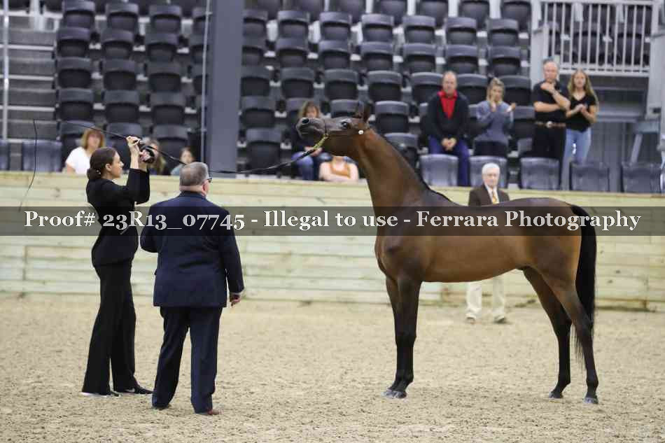 Proof Number 23R13_07745