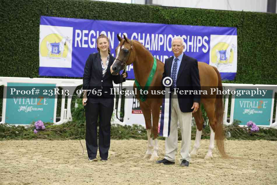 Proof Number 23R13_07765