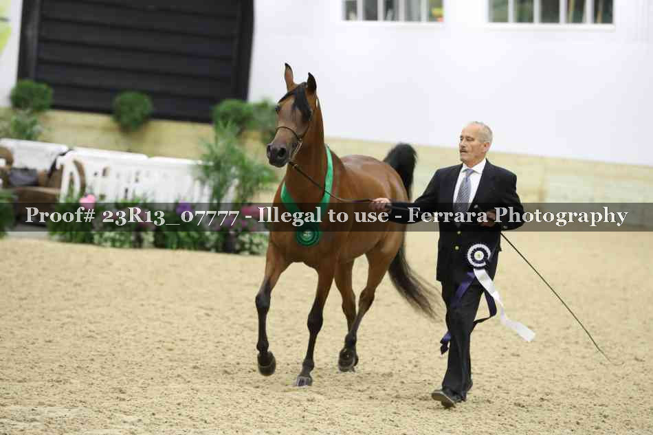 Proof Number 23R13_07777