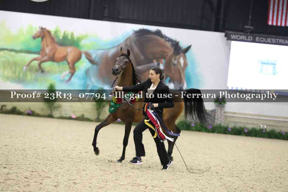 Proof Number 23R13_07794
