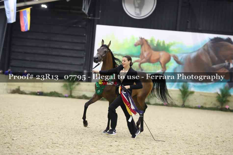 Proof Number 23R13_07795