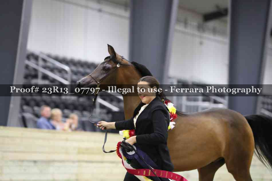 Proof Number 23R13_07797