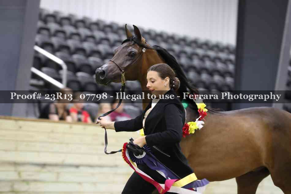 Proof Number 23R13_07798