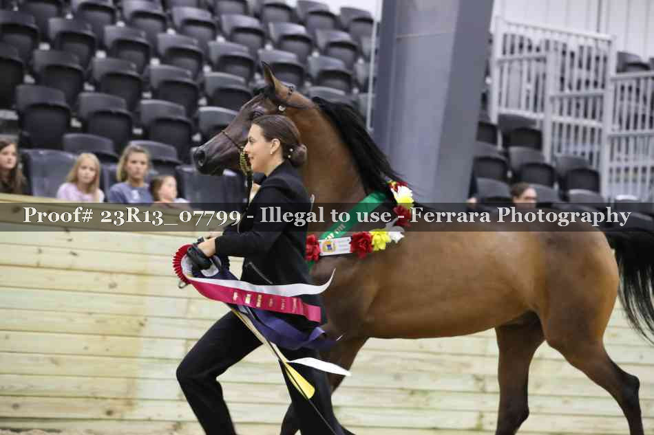 Proof Number 23R13_07799