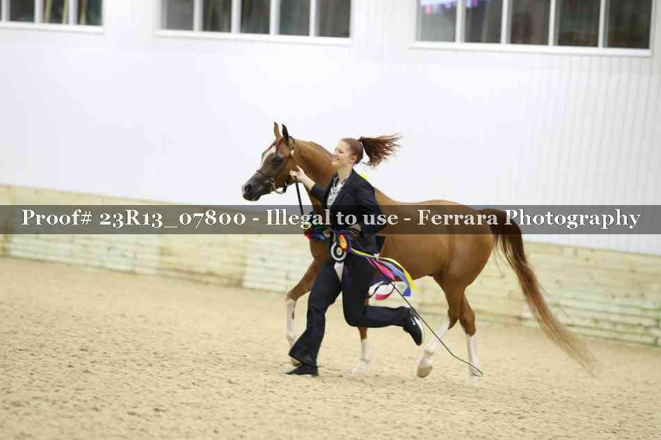 Proof Number 23R13_07800