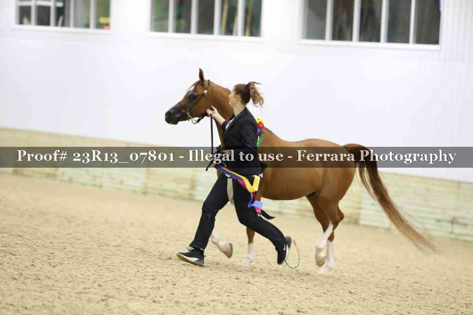 Proof Number 23R13_07801