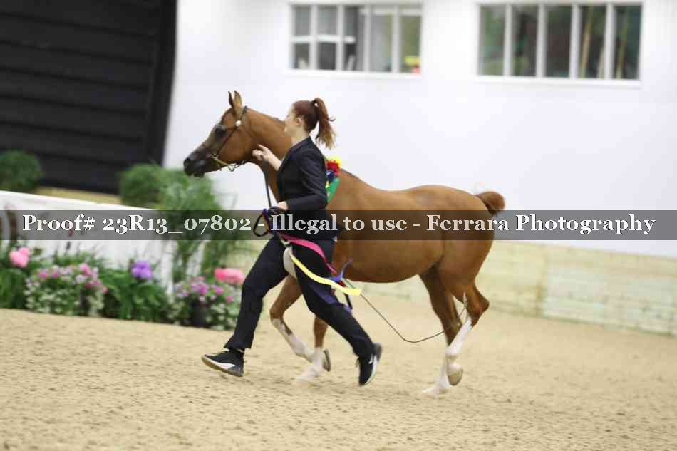 Proof Number 23R13_07802