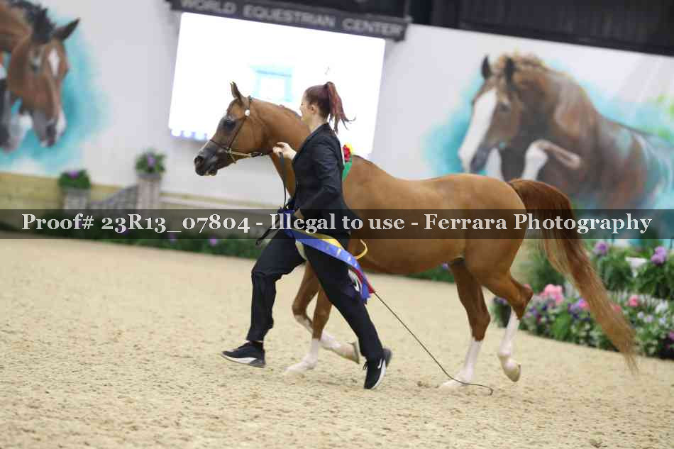 Proof Number 23R13_07804