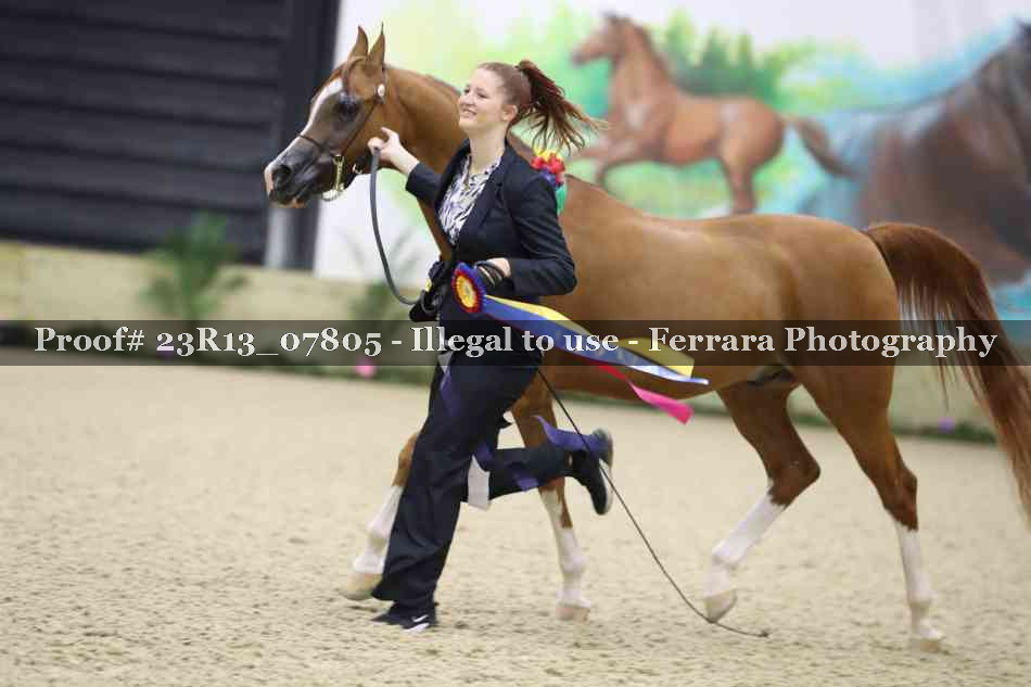 Proof Number 23R13_07805