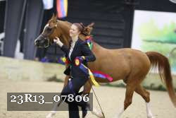 23R13_07806 thumbnail