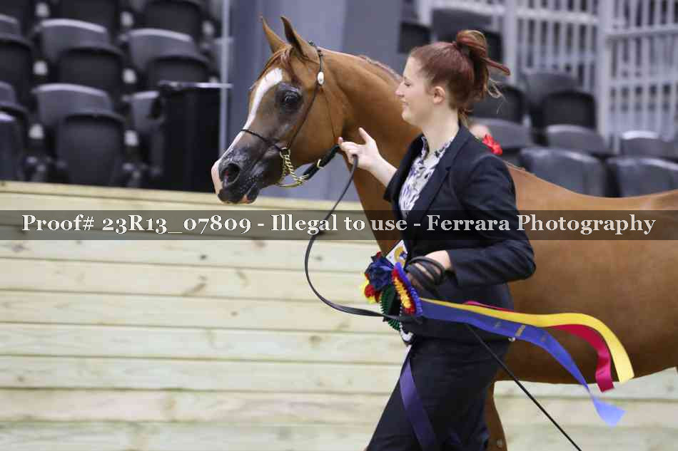 Proof Number 23R13_07809