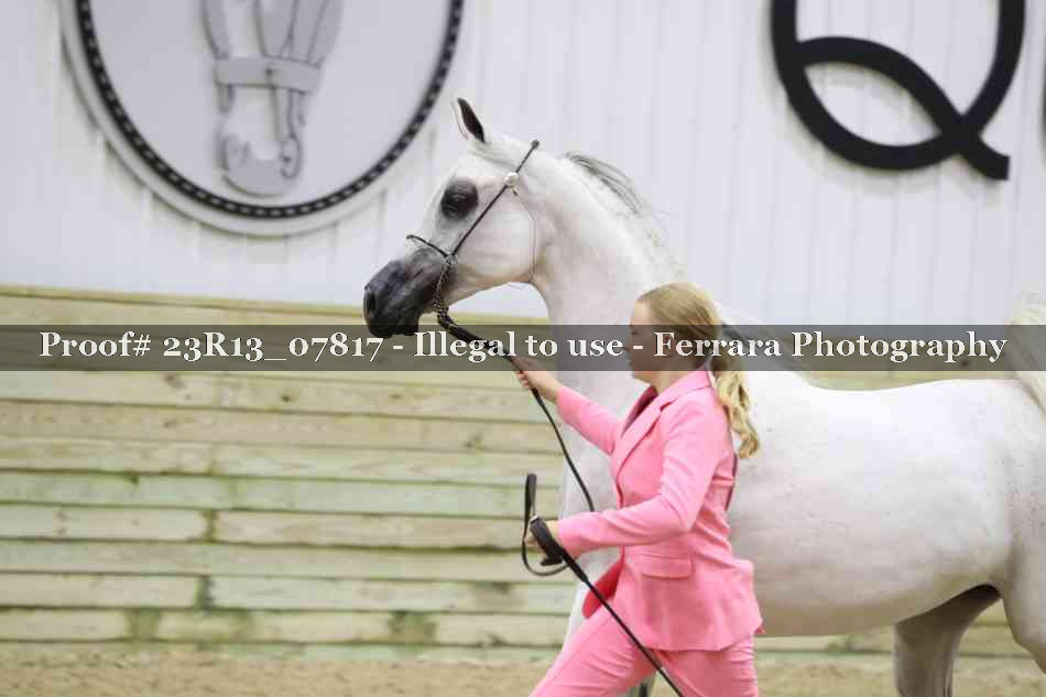 Proof Number 23R13_07817