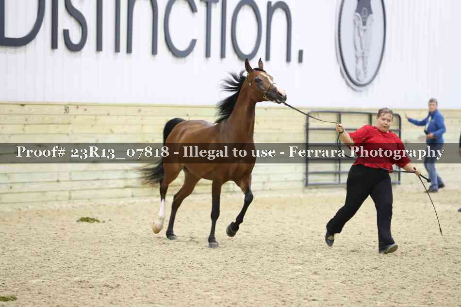 Proof Number 23R13_07818