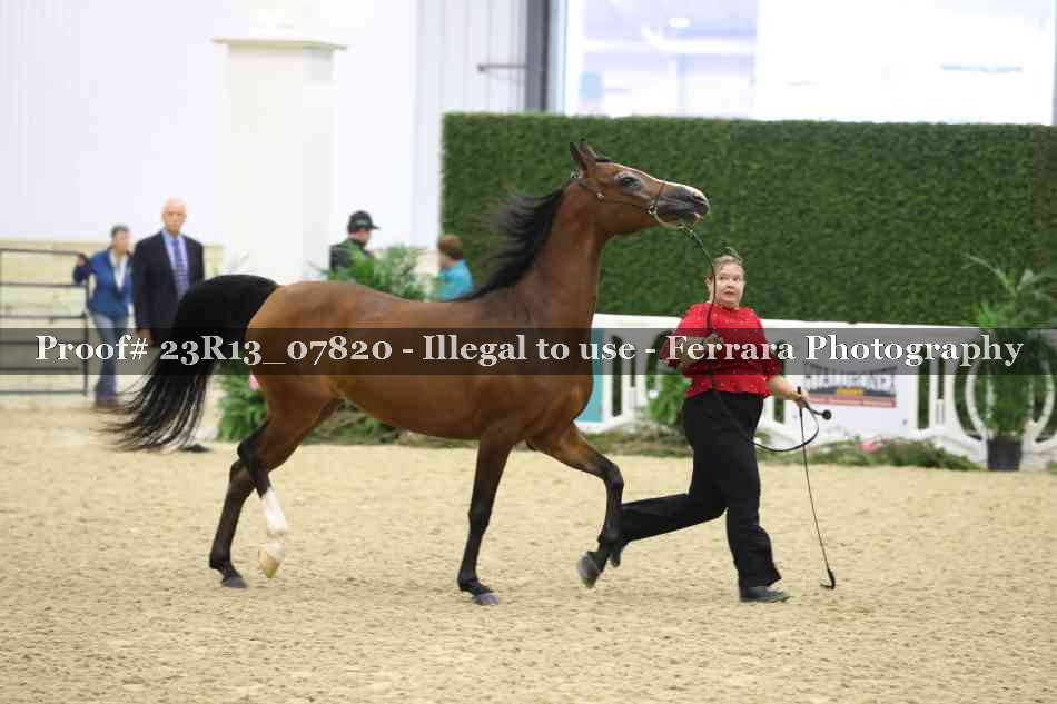 Proof Number 23R13_07820