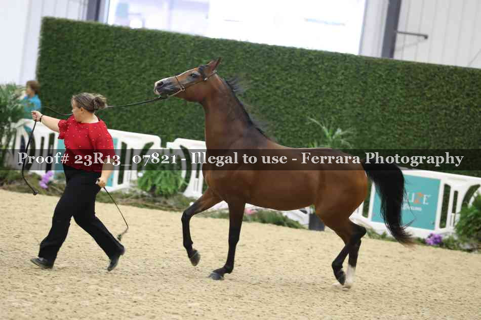 Proof Number 23R13_07821