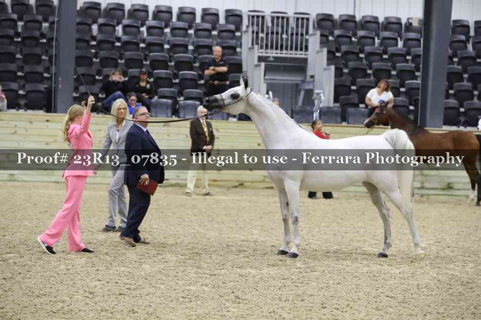 Proof Number 23R13_07835