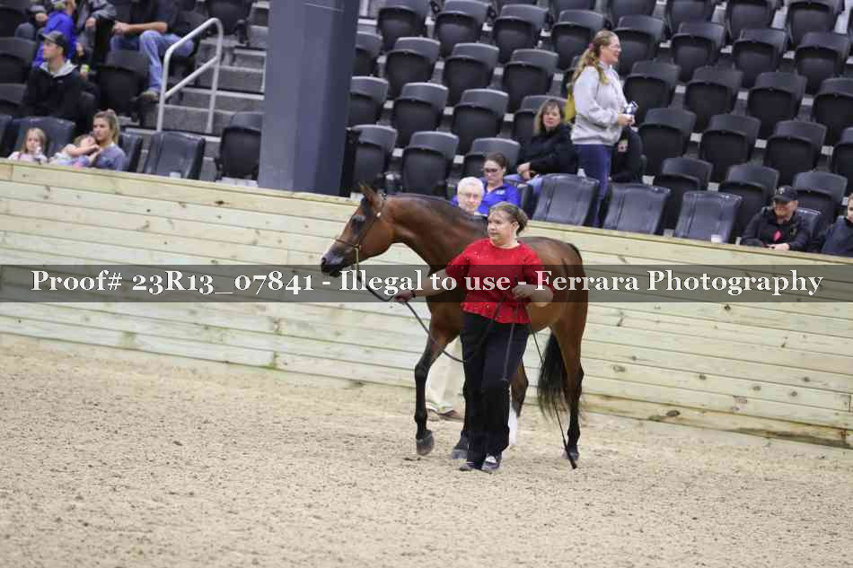 Proof Number 23R13_07841