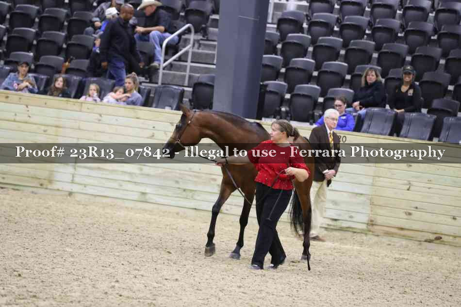 Proof Number 23R13_07842