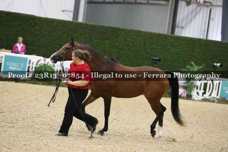 Proof Number 23R13_07854