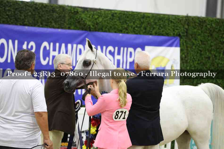 Proof Number 23R13_07860