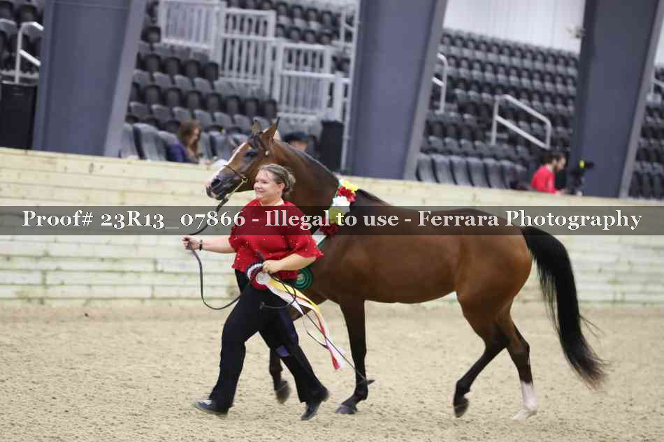 Proof Number 23R13_07866