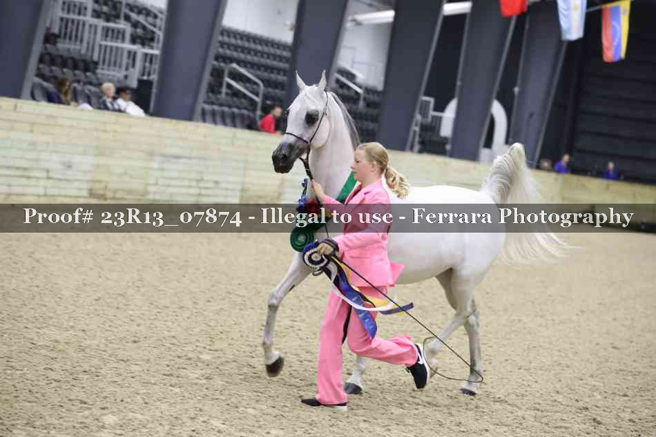 Proof Number 23R13_07874