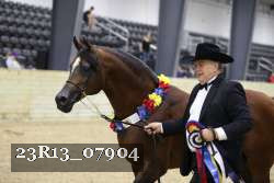 23R13_07904 thumbnail