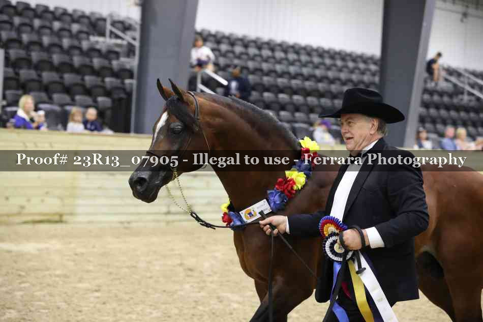 Proof Number 23R13_07905