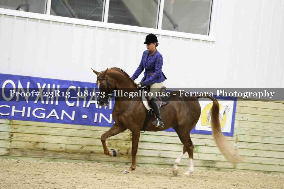 Proof Number 23R13_08073