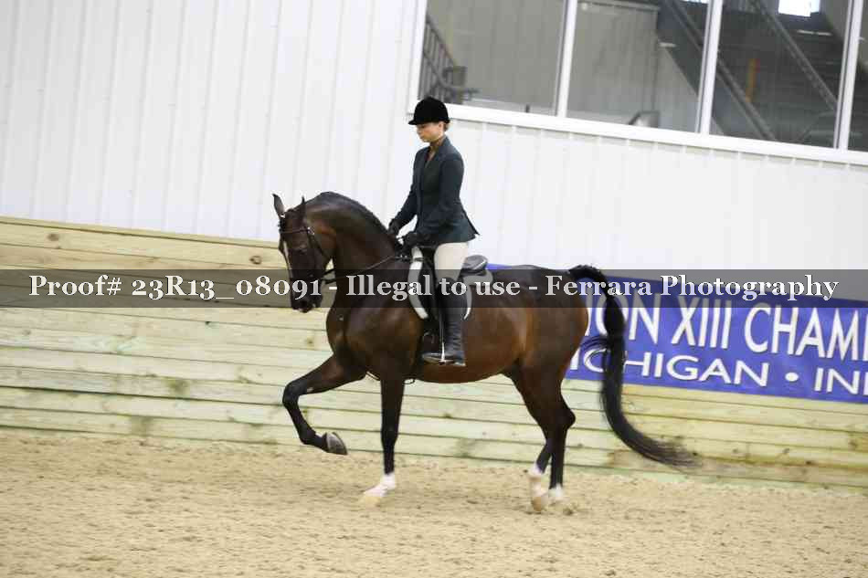 Proof Number 23R13_08091