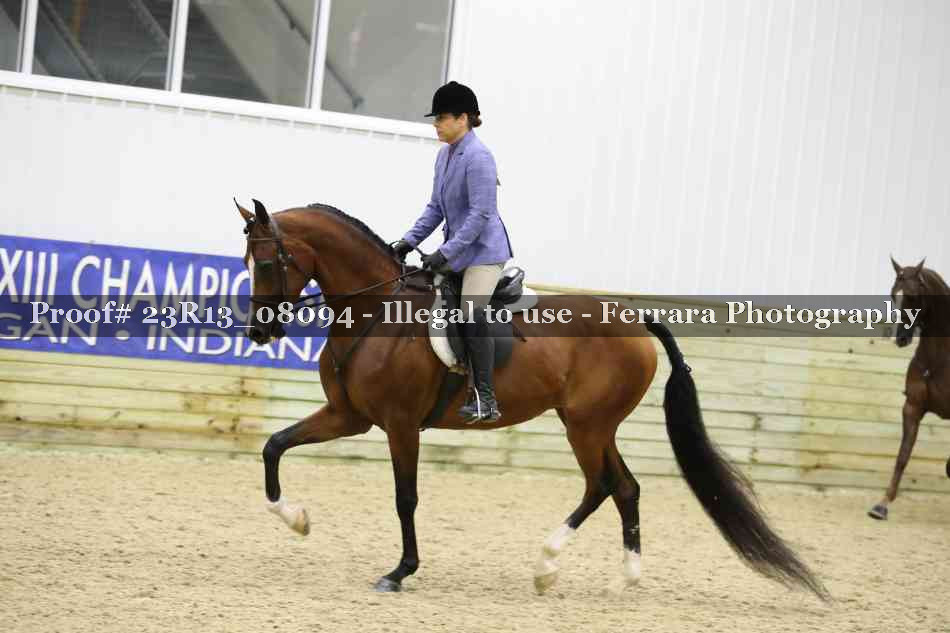 Proof Number 23R13_08094
