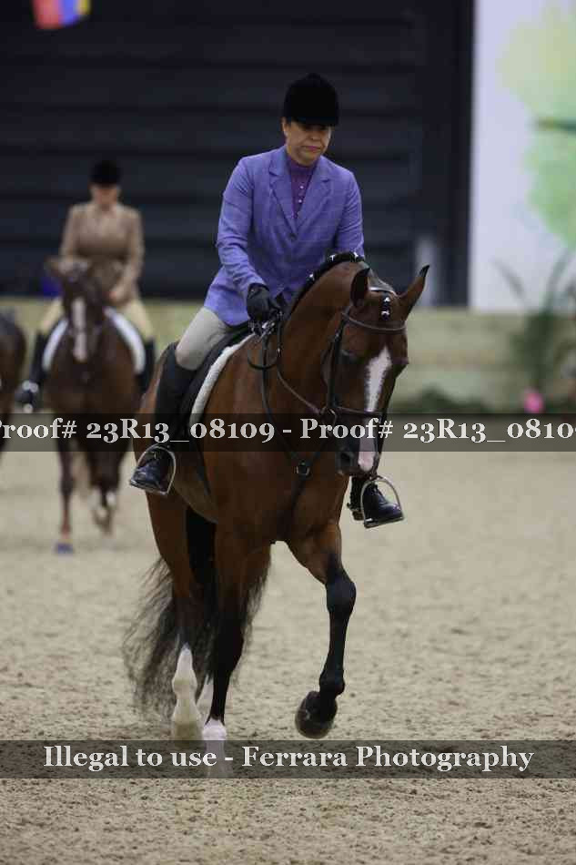 Proof Number 23R13_08109