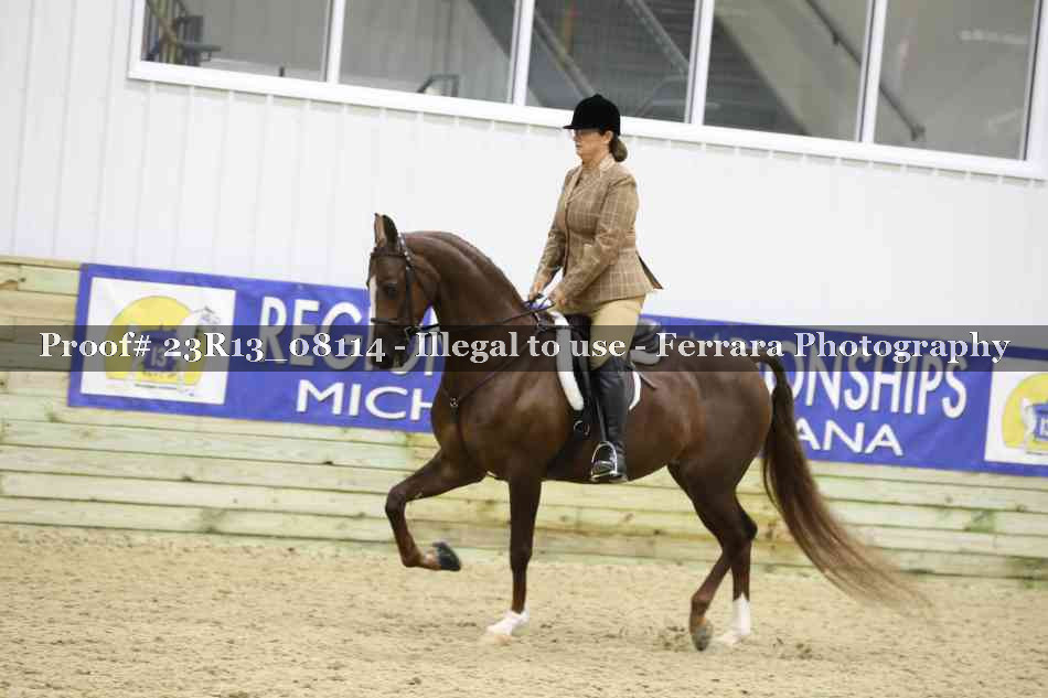 Proof Number 23R13_08114