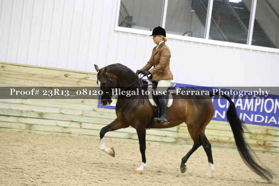 Proof Number 23R13_08120