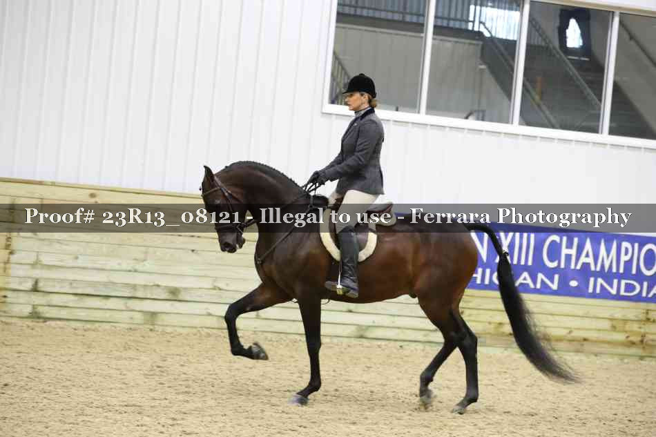 Proof Number 23R13_08121