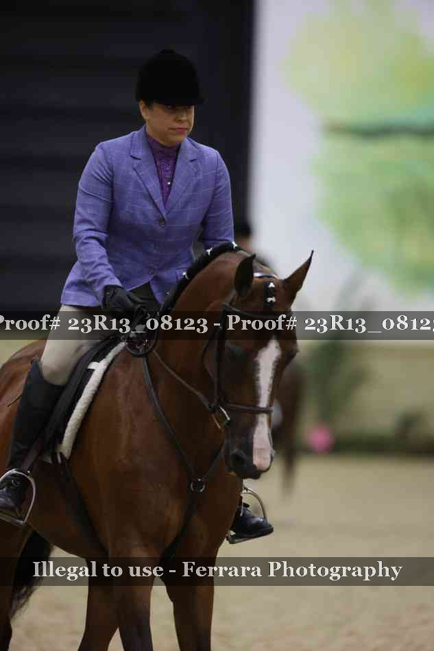 Proof Number 23R13_08123