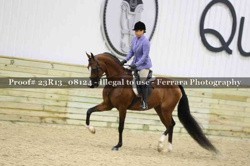 Proof Number 23R13_08124
