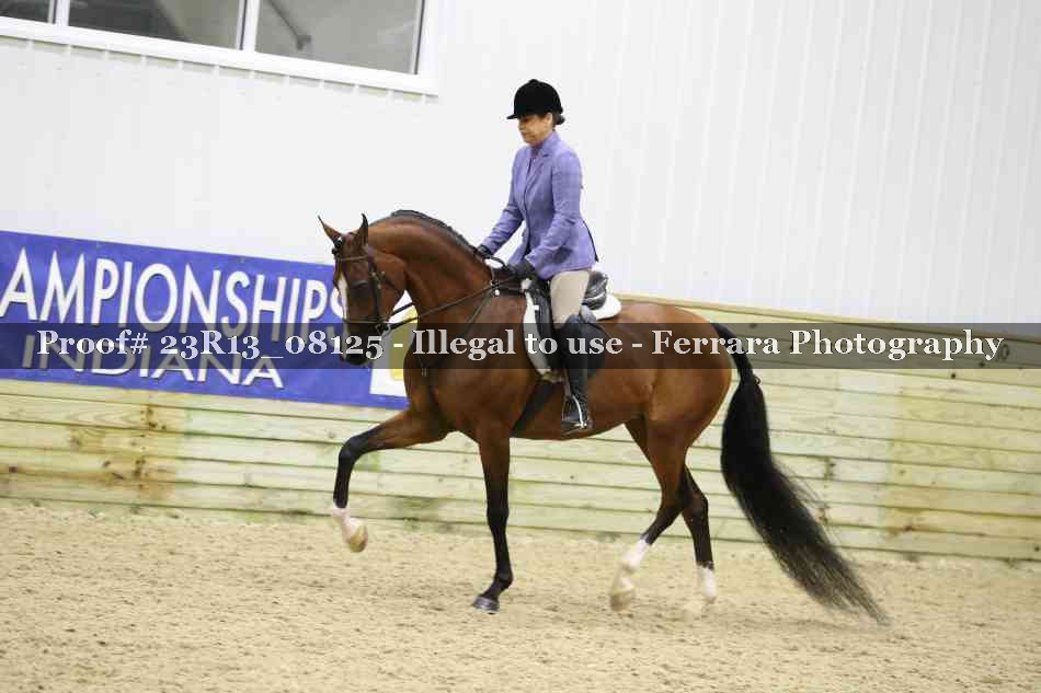 Proof Number 23R13_08125