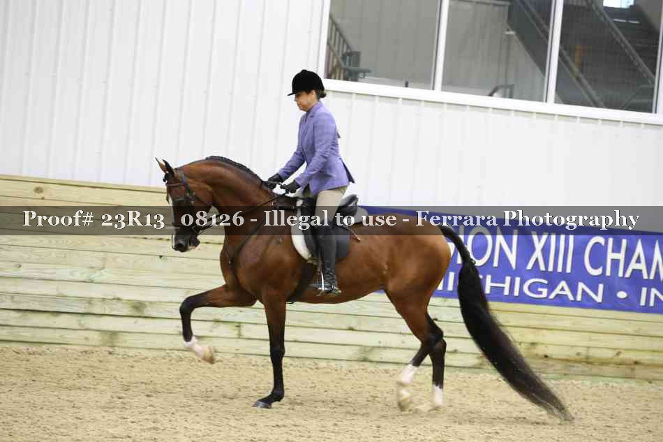 Proof Number 23R13_08126